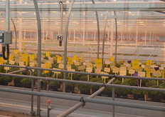 Om te zeggen dat werkelijk alle kaarten op tafel liggen gaat misschien wat ver, maar binnen is alles open en er hangen nergens gordijnen of bordjes met 'verboden voor onbevoegden'.